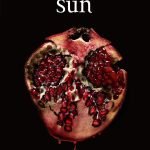 Midnight Sun by Stephenie Meyer