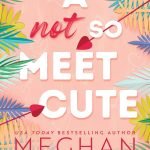 A Not So Meet Cute (Cane Brothers, 1) by Meghan Quinn