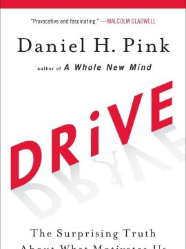 Drive: The Surprising Truth About What Motivates Us by Daniel H. Pink