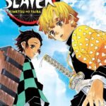 Demon Slayer: Kimetsu no Yaiba, Vol. 3 by Koyoharu Gotouge