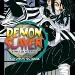 Demon Slayer: Kimetsu no Yaiba, Vol. 19 by Koyoharu Gotouge