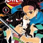 Demon Slayer: Kimetsu no Yaiba, Vol. 1 by Koyoharu Gotouge