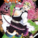 Demon Slayer: Kimetsu no Yaiba, Vol. 14  by Koyoharu Gotouge