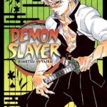 Demon Slayer: Kimetsu no Yaiba, Vol. 17 by Koyoharu Gotouge