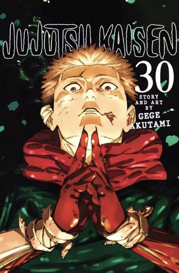 Screenshot_1 Jujutsu Kaisen, Vol. 30 by Gege Akutami - Image 1